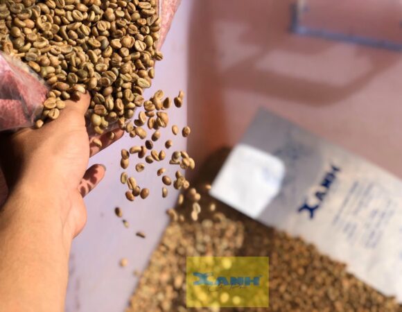 ĐỊA CHỈ MUA CÀ PHÊ HẠT TẠI QUẢNG NGÃI UY TÍN GIÁ TỐT SẢN PHẨM CHẤT LƯỢNG CAO