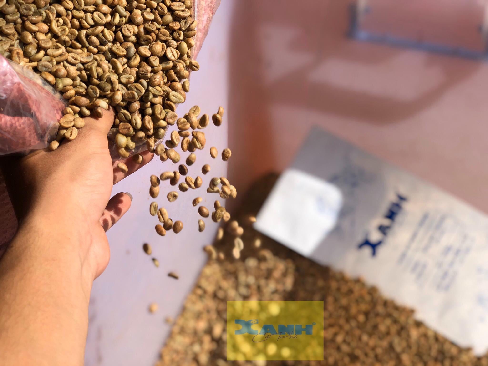 ĐỊA CHỈ MUA CÀ PHÊ HẠT TẠI QUẢNG NGÃI UY TÍN GIÁ TỐT SẢN PHẨM CHẤT LƯỢNG CAO