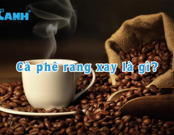 Cà Phê Rang Xay loại nào ngon? Những điều cần lưu ý khi pha cà phê