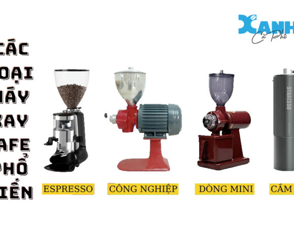 Máy Xay Cà Phê Hạt Cho Quán Cafe, Nhà Hàng, Văn Phòng