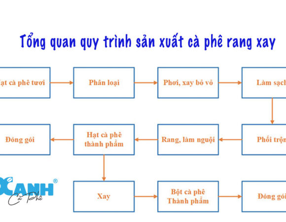 Tổng hợp các Quy trình công nghệ sản xuất cà phê rang xay