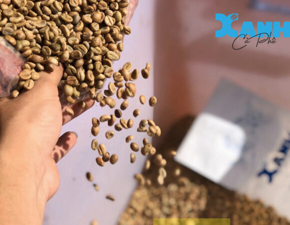 Cập nhật bảng giá cà phê rang xay nguyên hạt mới nhất