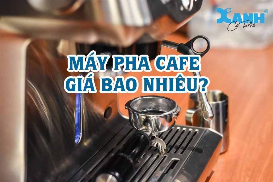 máy pha cà phê chuyên nghiệp
