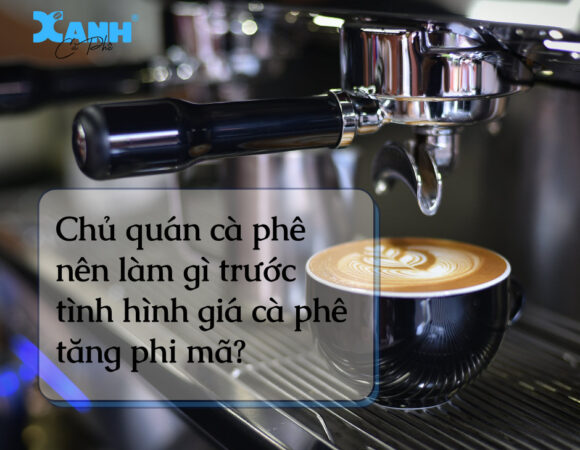 Chủ quán cà phê nên làm gì trước tình hình giá cà phê tăng phi mã?