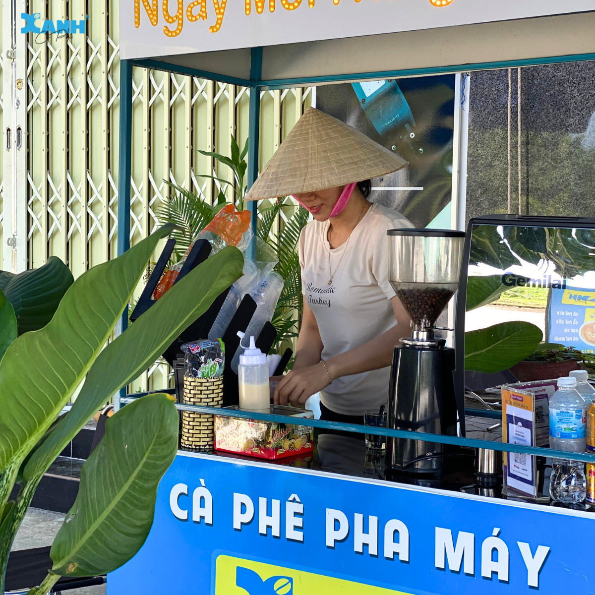 Kinh doanh xe cà phê mang đi
