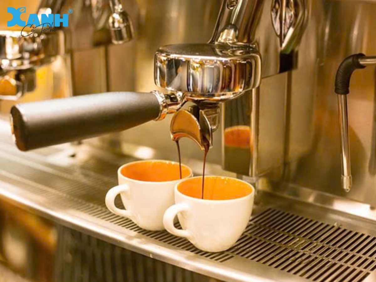 Cần hiểu rõ về cà phê trước kghi kinh danh cà phê
