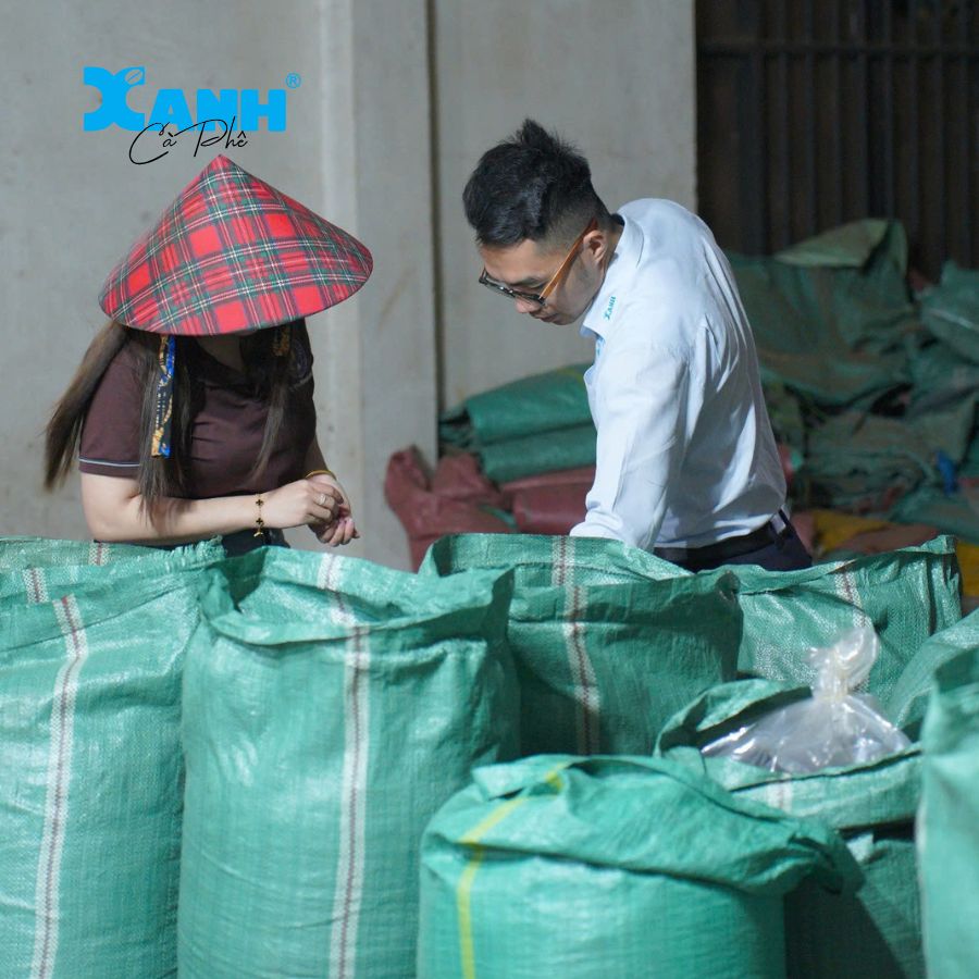 Những hạt cà phê được chọn lựa cẩn thận