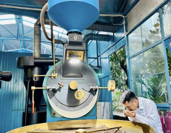 Cà phê nguyên chất Quảng Ngãi – Chất lượng vượt trội từ Xanh Cà Phê