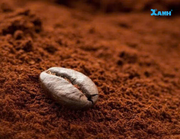 Cách chọn mua hạt cà phê chất lượng cao để thưởng thức đúng hương vị nguyên bản