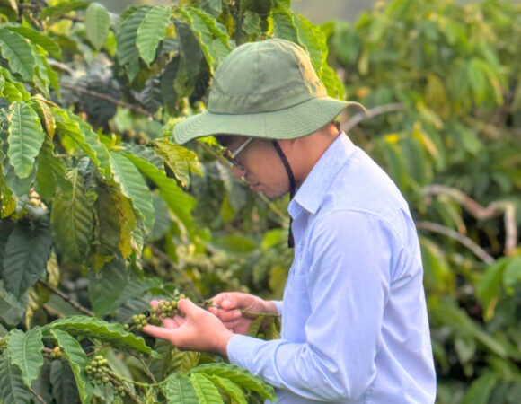 Xanh Cà Phê – Giữ Chất Lượng, Giữ Niềm Tin